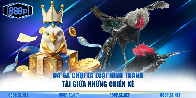 Đá gà chọi là loại hình tranh tài giữa những chiến kê