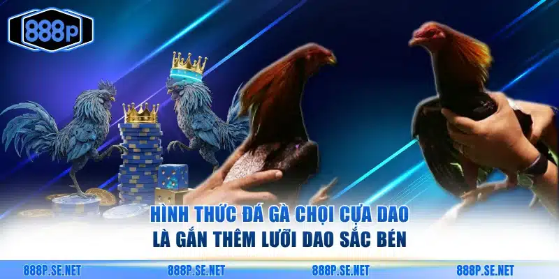 Hình thức đá gà chọi cựa dao là gắn thêm lưỡi dao sắc bén