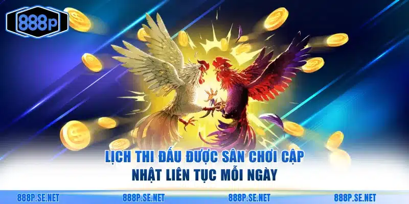 Lịch thi đấu cập nhật liên tục để hội viên nắm